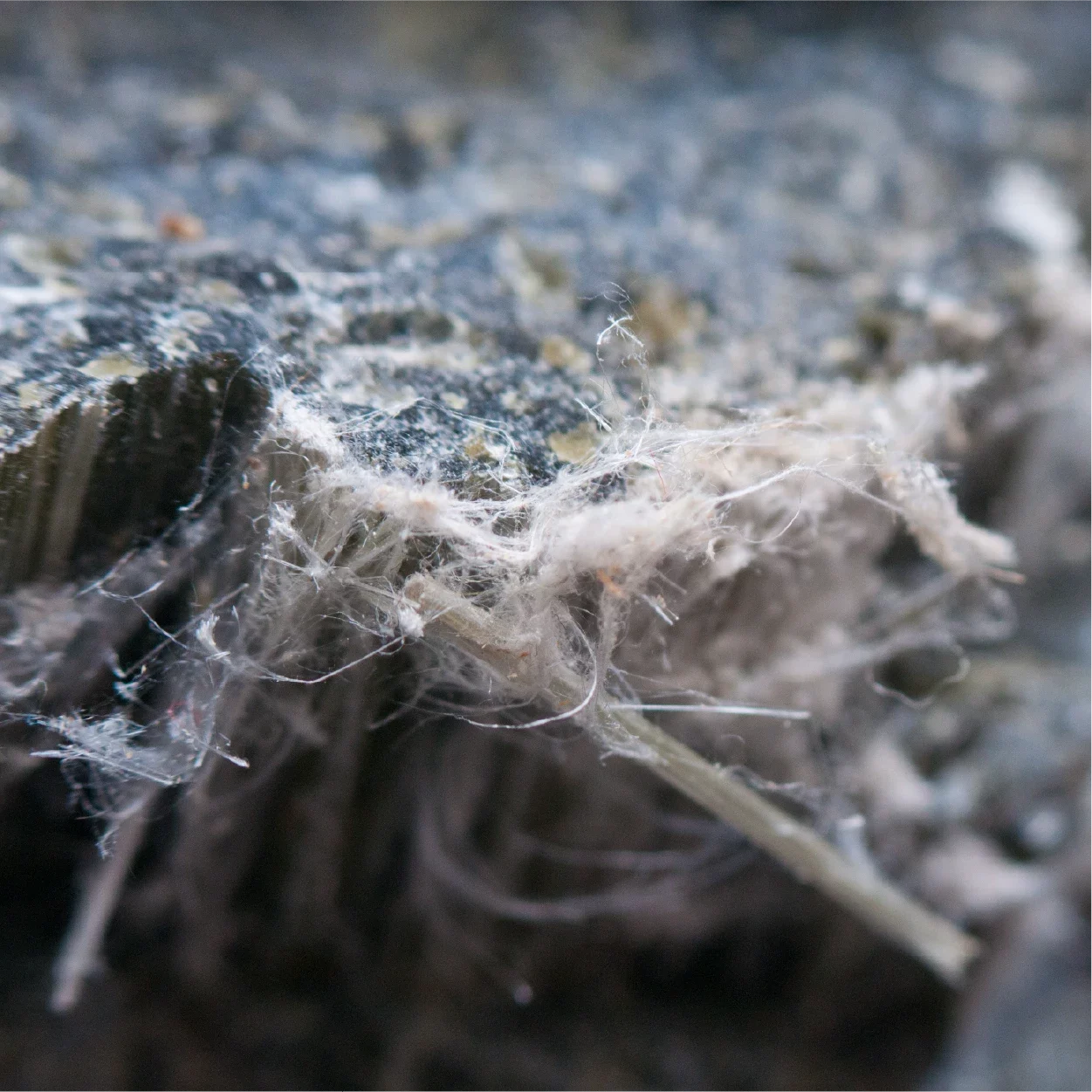 RAD-Namwaste-PgImg-asbestos